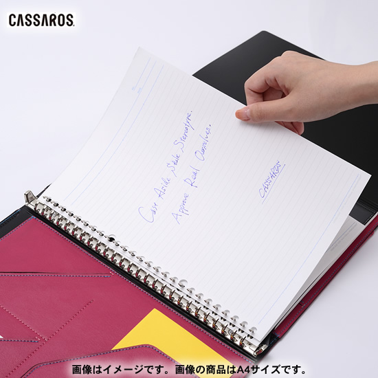 Cassaros キャサロス ファイルノートカバー B5 名入れ 無料 通販 文房具の和気文具